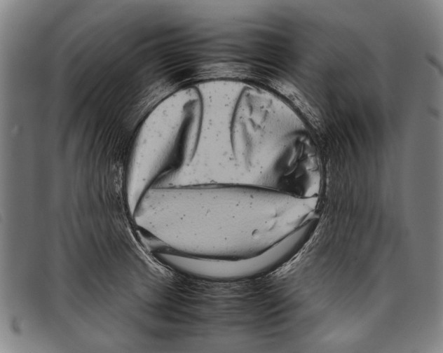 X0000097781233200804041207