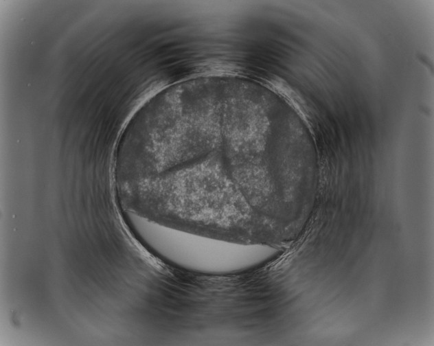 X0000097781235200804041207