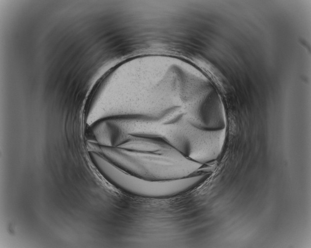 X0000097781238200804041207