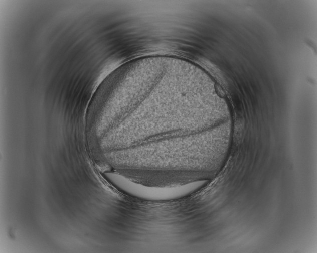 X0000097781242200804041207