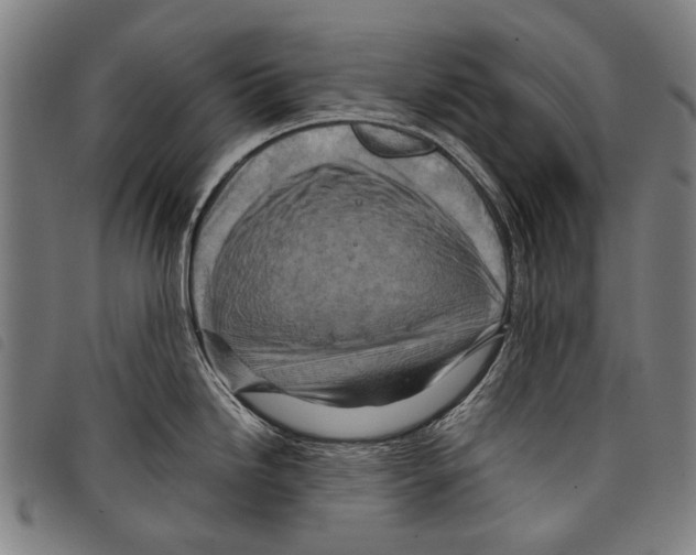 X0000097781246200804041207