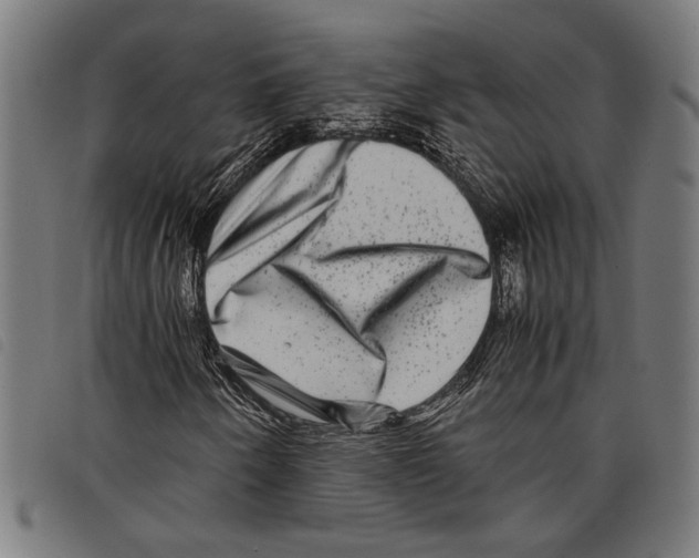 X0000097781250200804041206