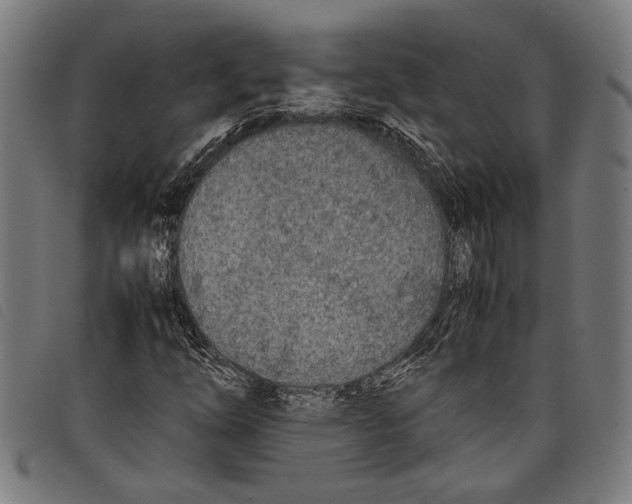 X0000097781254200804041206