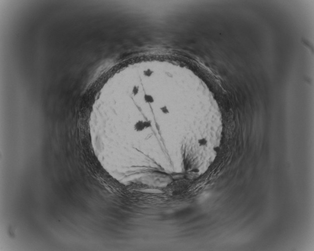 X0000097781255200804041206