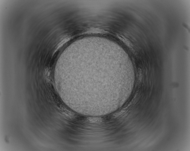 X0000097781258200804041206