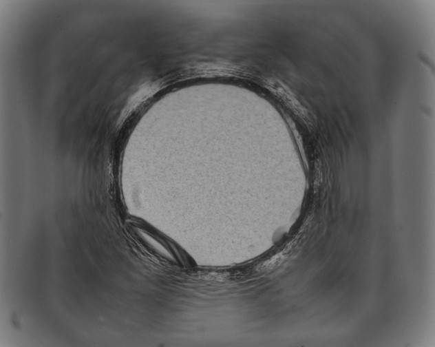 X0000097781261200804041206