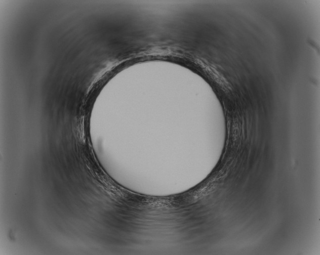 X0000097781262200804041206