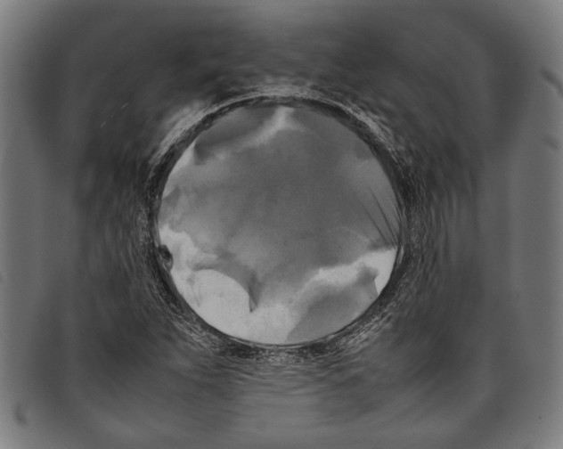 X0000097781263200804041206