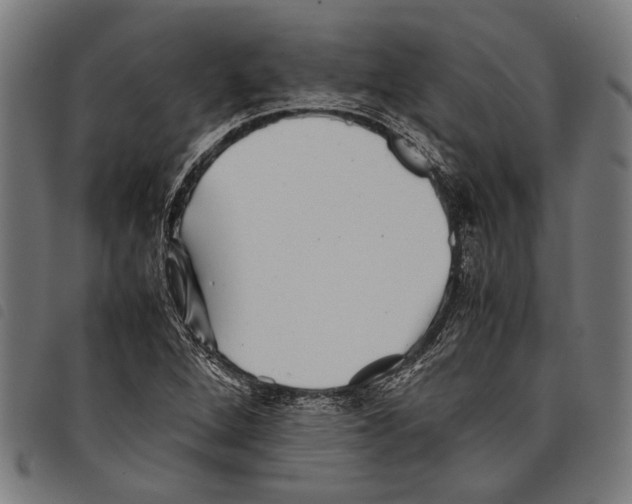 X0000097781264200804041206