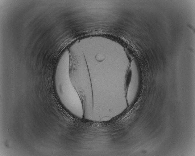 X0000097781265200804041206