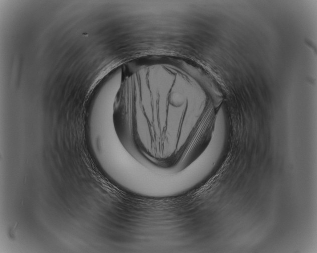 X0000097781266200804041206