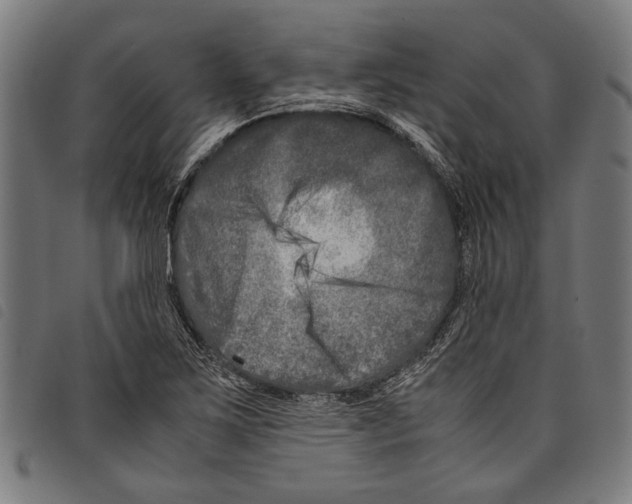 X0000097781267200804041206