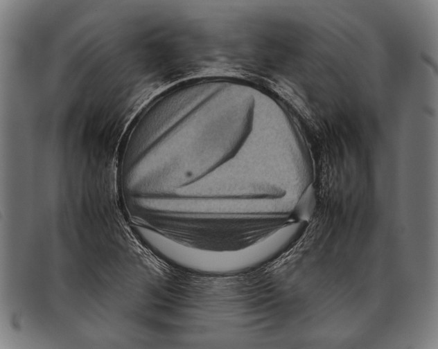 X0000097781268200804041206