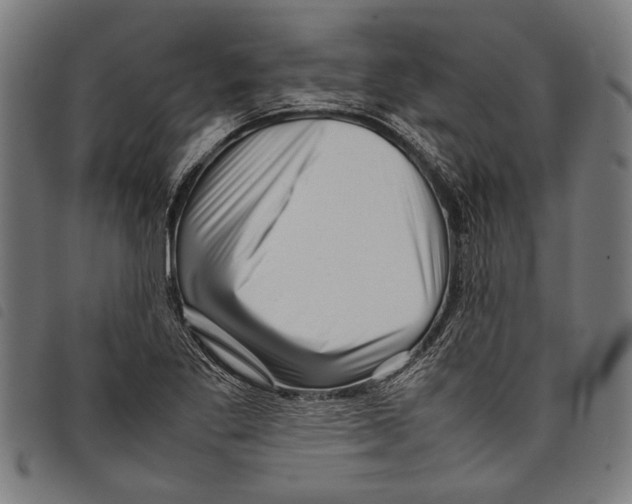 X0000097781269200804041206