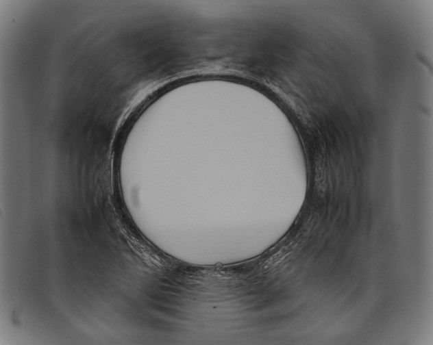 X0000097781270200804041206