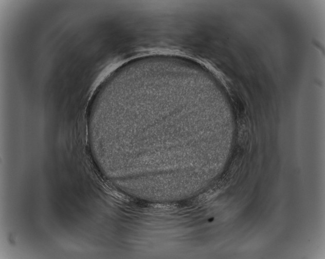 X0000097781271200804041206