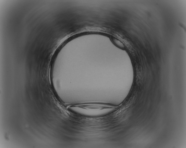 X0000097781272200804041206