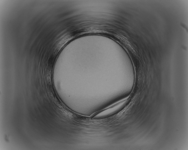 X0000097781273200804041206