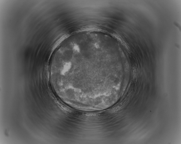 X0000097781274200804041206