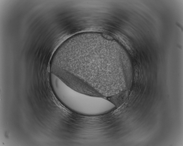 X0000097781276200804041206