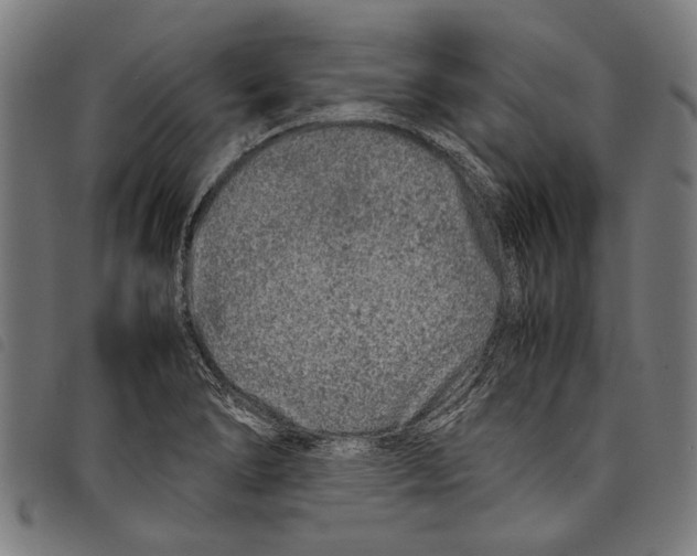 X0000097781278200804041206