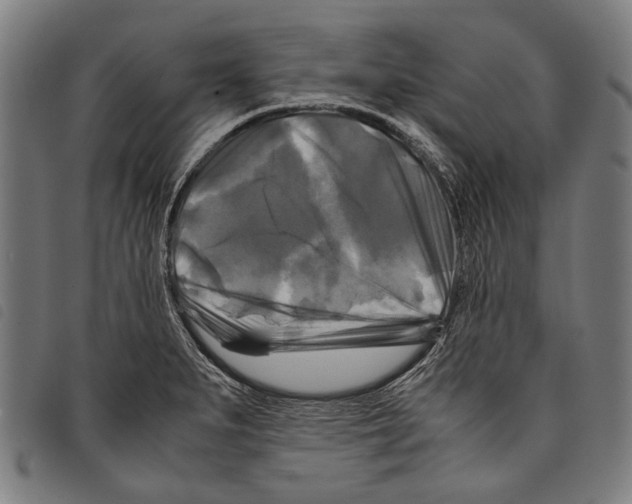 X0000097781279200804041206