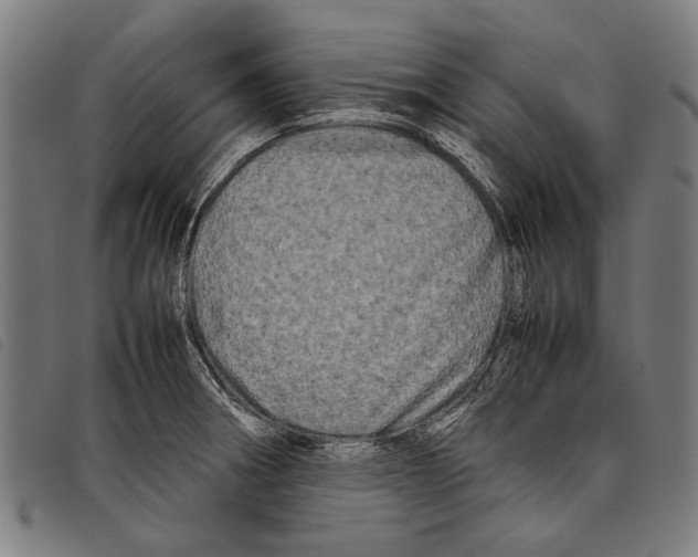 X0000097781282200804041206