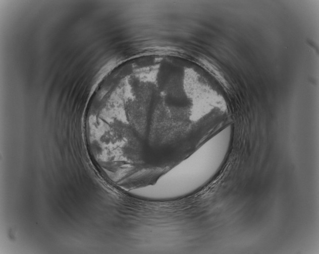 X0000097781283200804041206