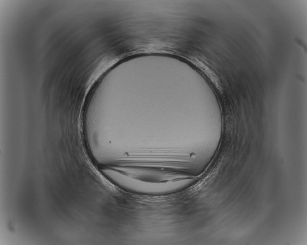 X0000097781285200804041206