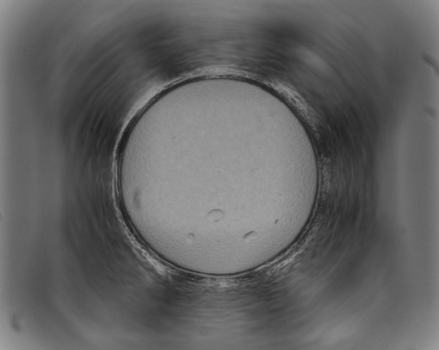 X0000097781286200804041206