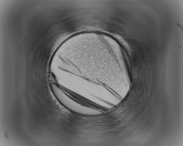 X0000097781287200804041206