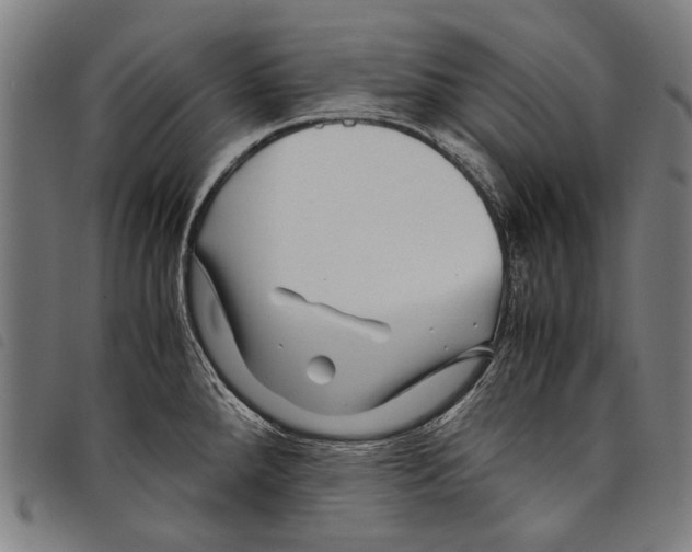 X0000097781288200804041206