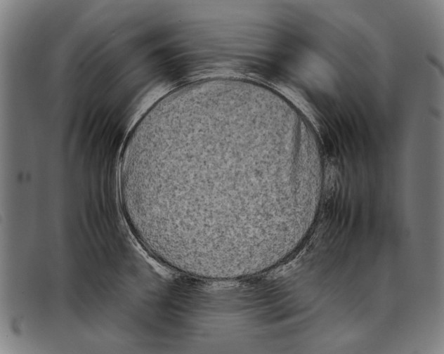 X0000097781290200804041206