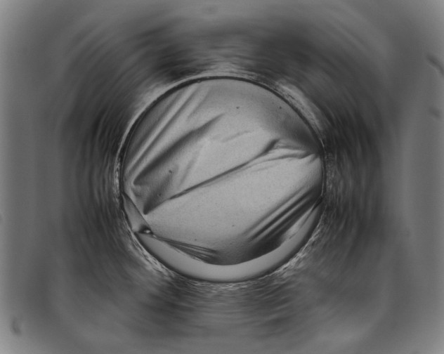 X0000097781292200804041206