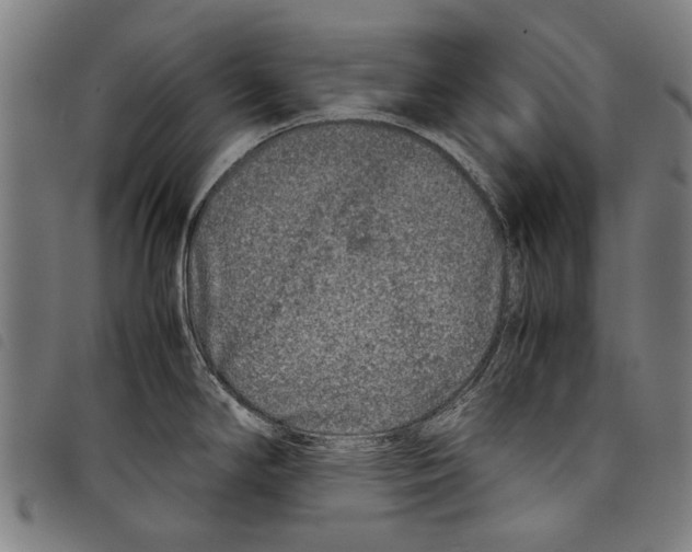 X0000097781294200804041206