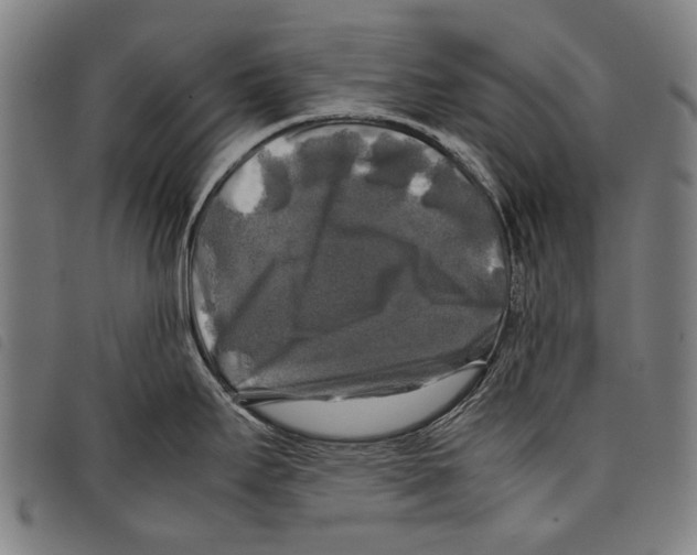 X0000097781295200804041206