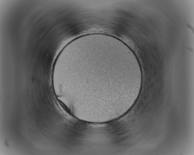 X0000097781296200804041206