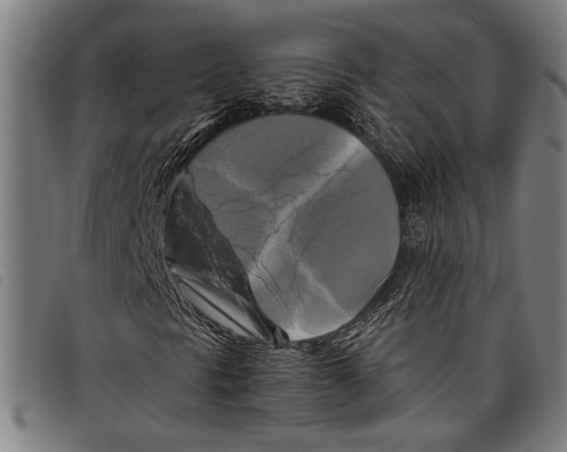 X0000097781297200804041205