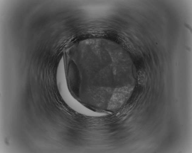 X0000097781298200804041205