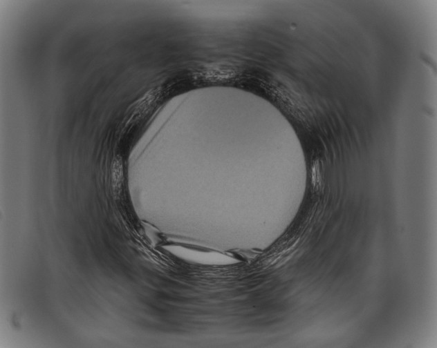 X0000097781299200804041205