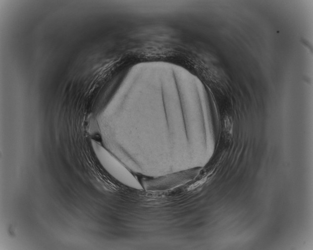 X0000097781300200804041205