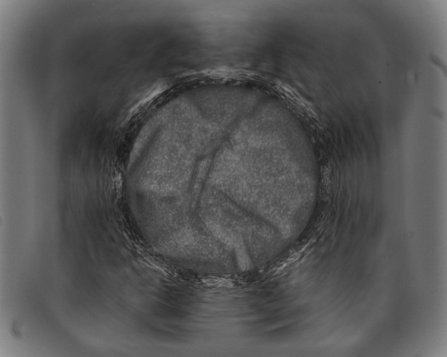 X0000097781302200804041205