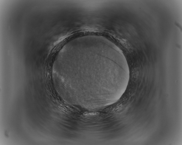 X0000097781303200804041205