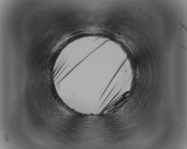 X0000097781304200804041205