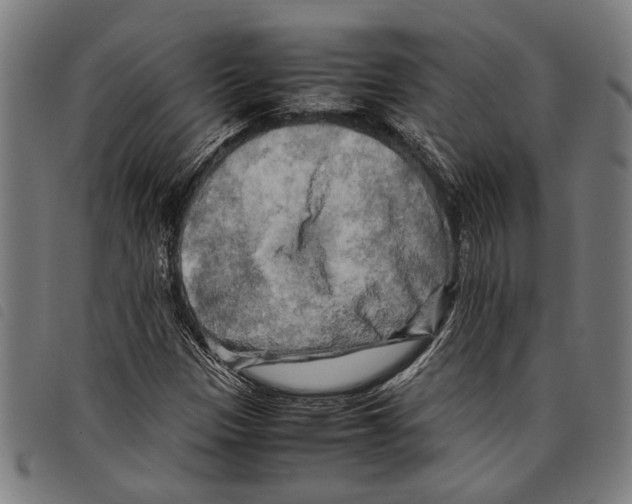 X0000097781305200804041205