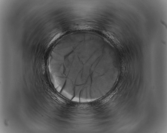 X0000097781306200804041205