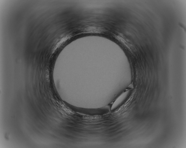 X0000097781307200804041205