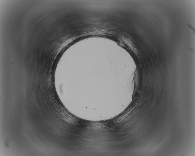 X0000097781308200804041205