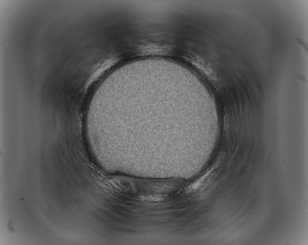 X0000097781309200804041205