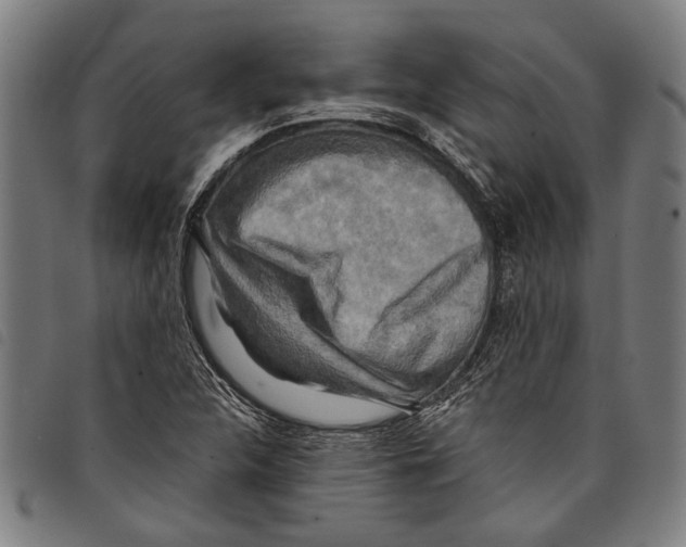 X0000097781312200804041205